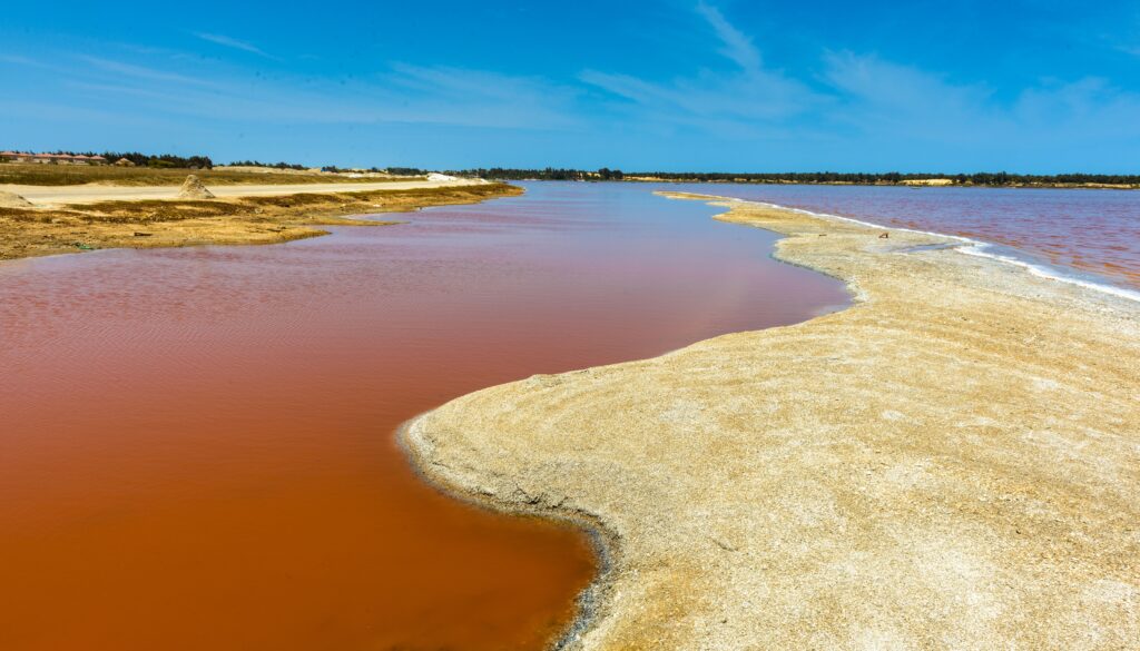 Entre Sable, Eau et Savane — 6 Jours au Sénégal