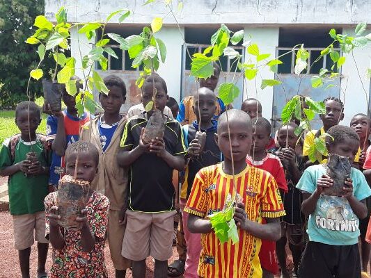 Expérience authentique au Sénégal