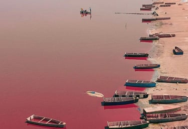 Excursion au Lac Rose